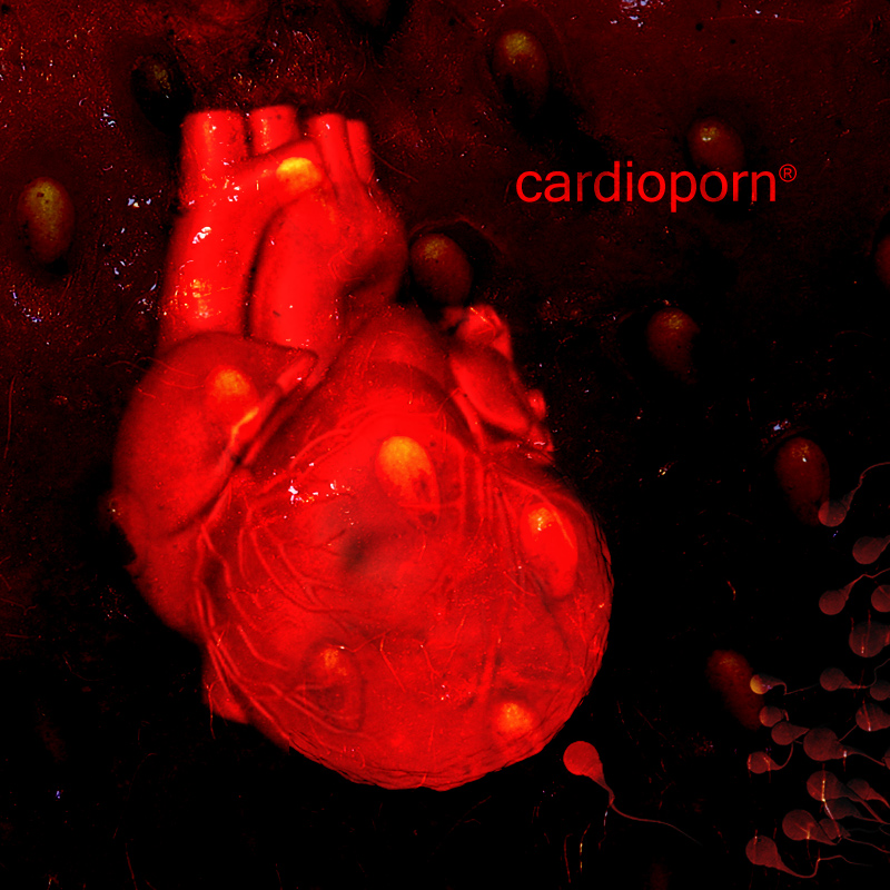 2013-01-30 cardioporn